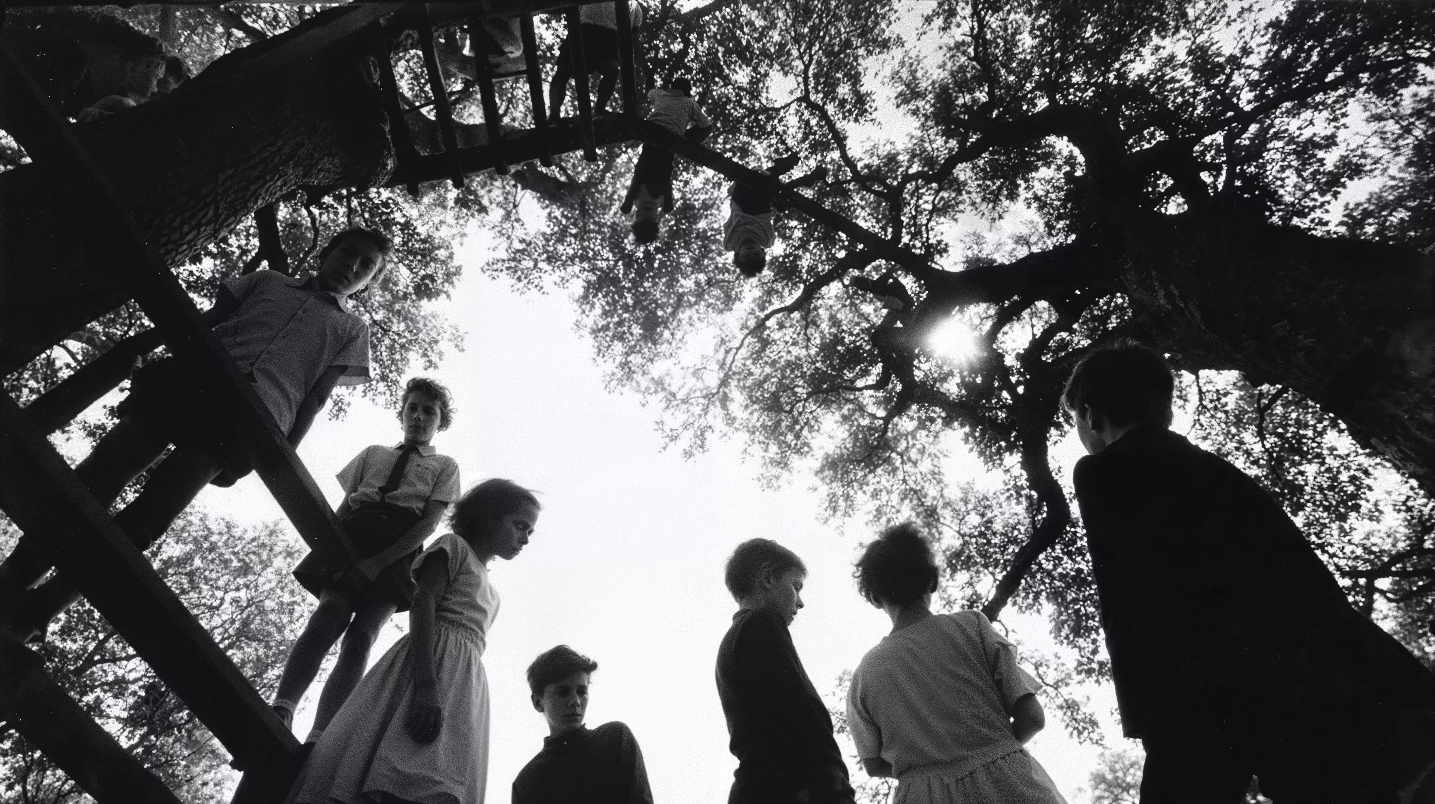 Playground 169