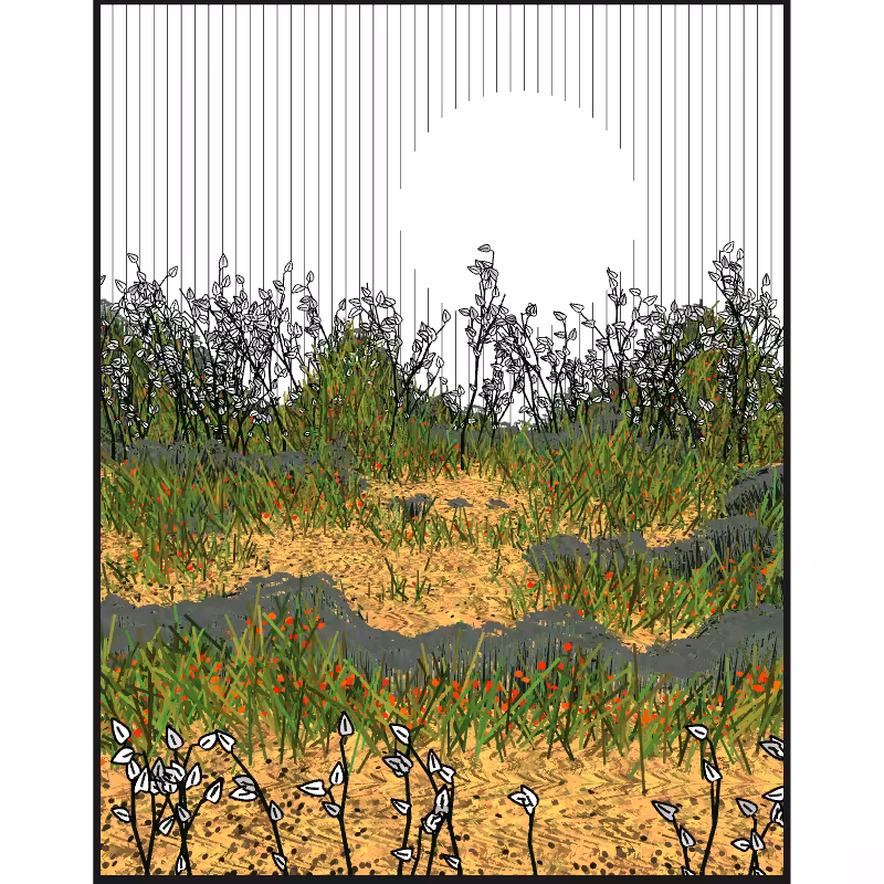 Contours #46