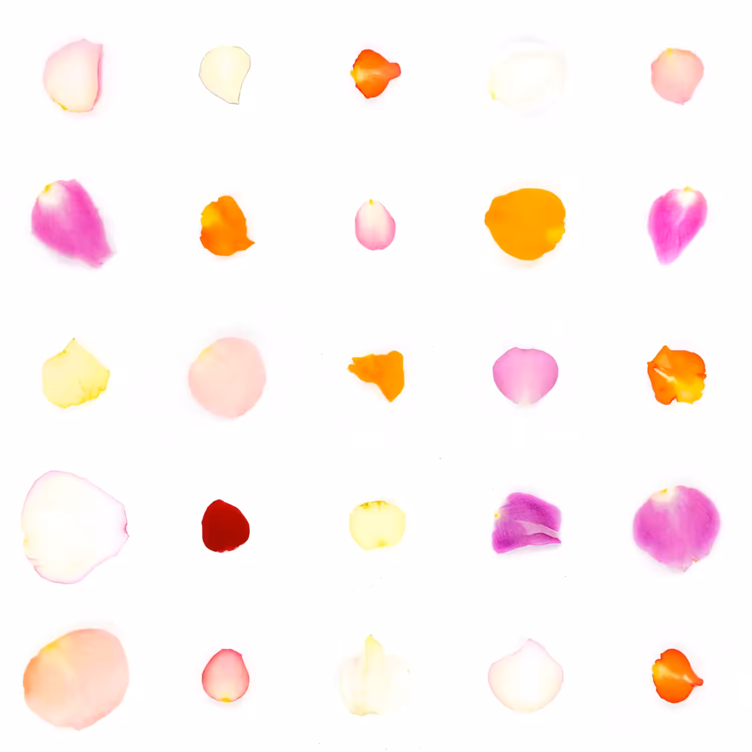 Infinite Petals 5x5#20050