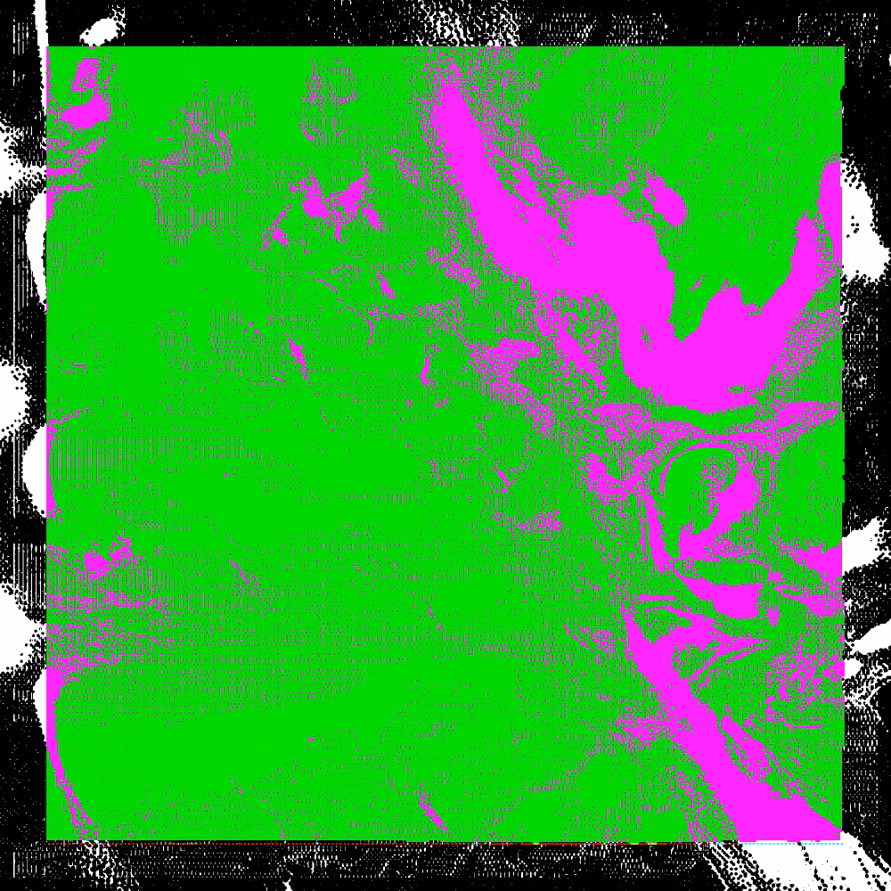 CHX-1 #96