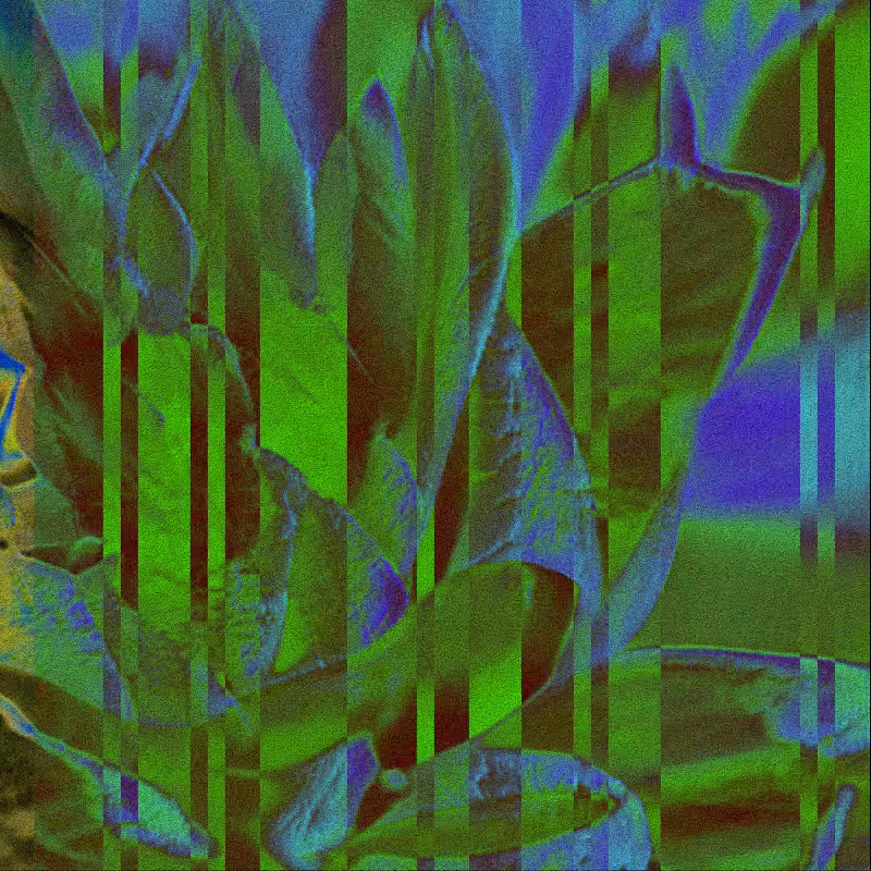 CLDCSMC #21
