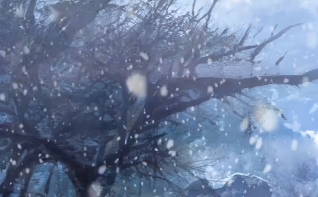 The Magic of Nature No.1 - Winter