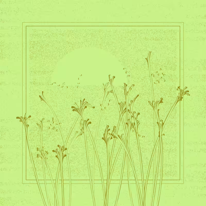 string_pllu #90