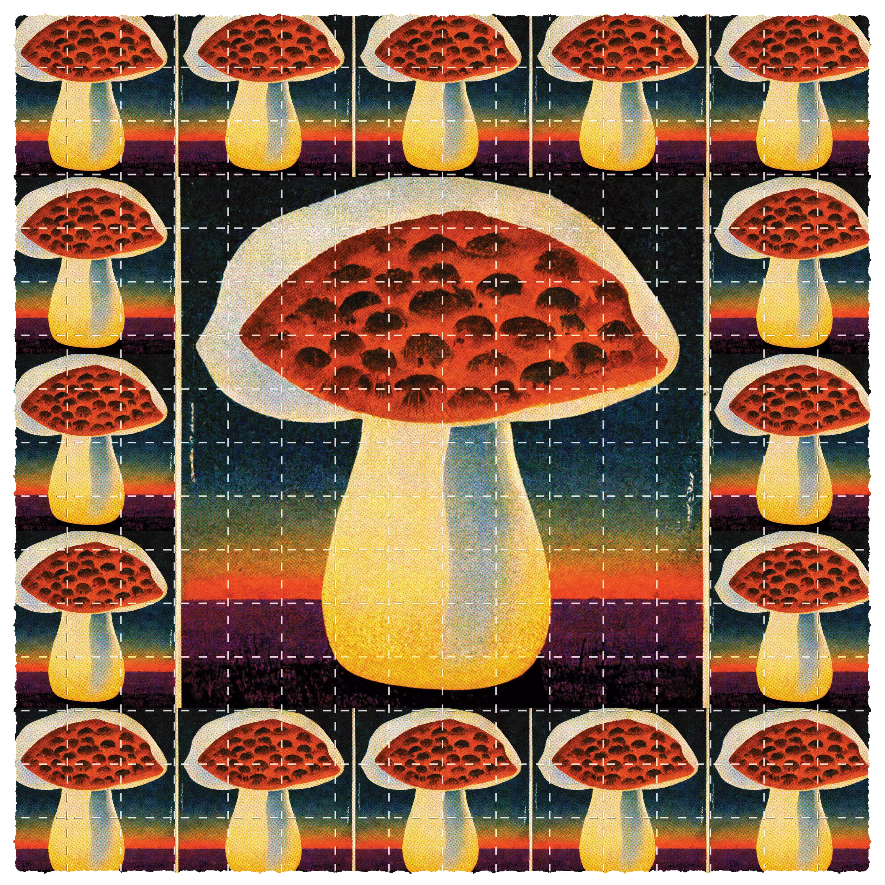 Shroomsun #11