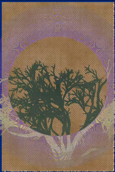 illusion #6