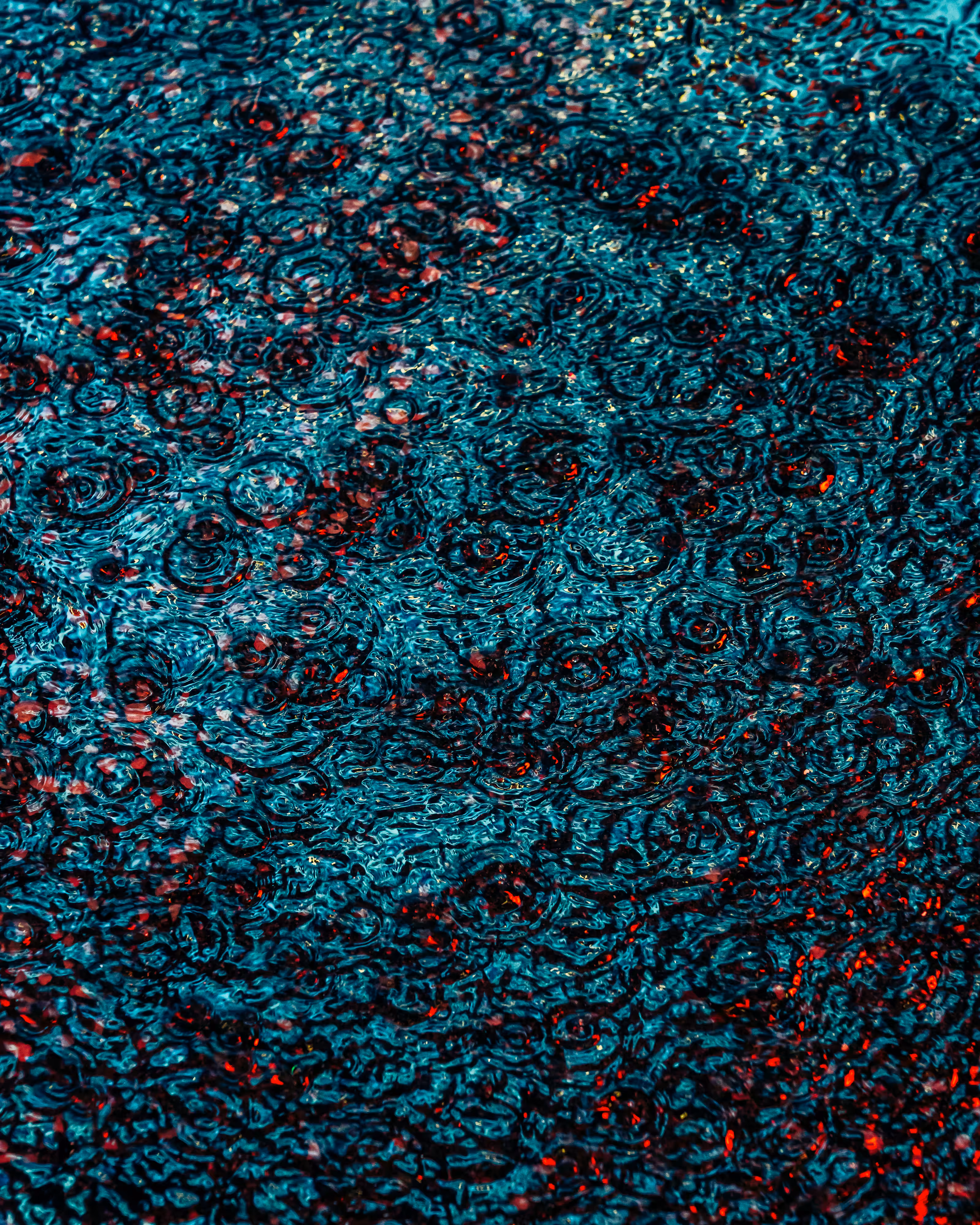 DRIP DROP: DRIP #316