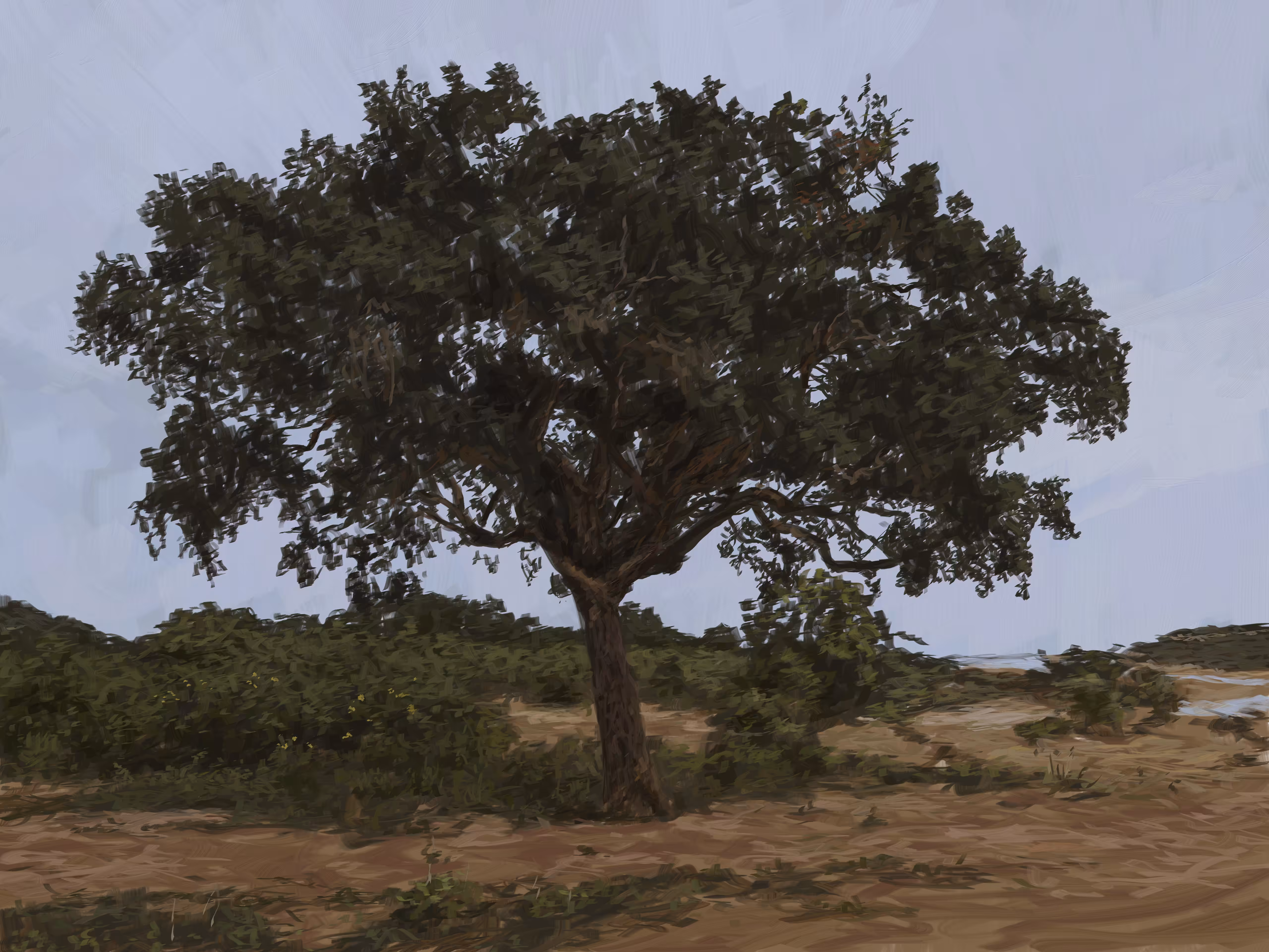 The Old Tree