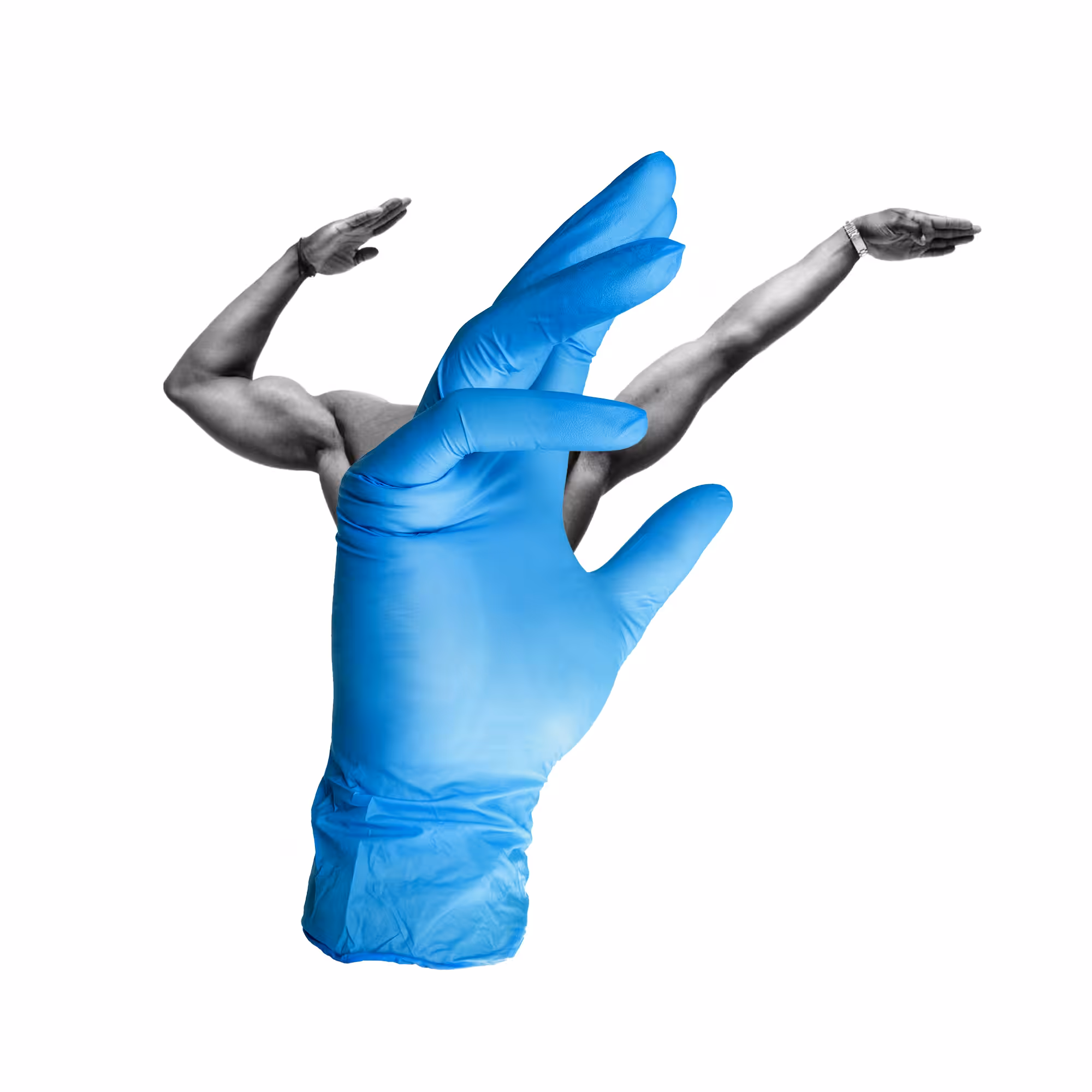ICONOCLASH #186