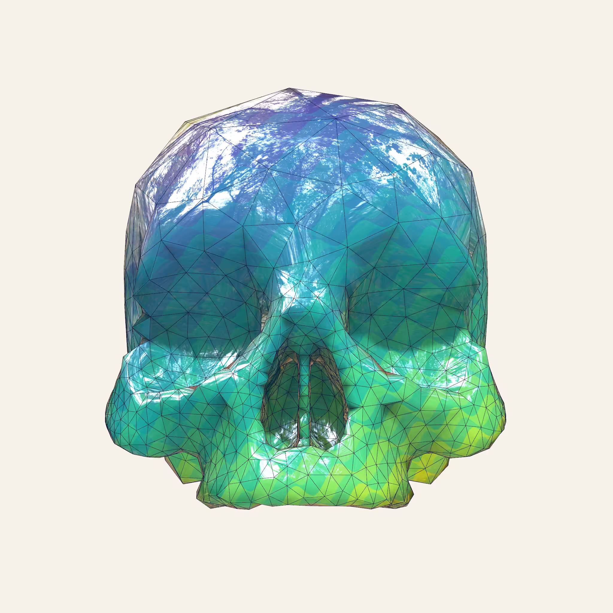 Bear Skulls