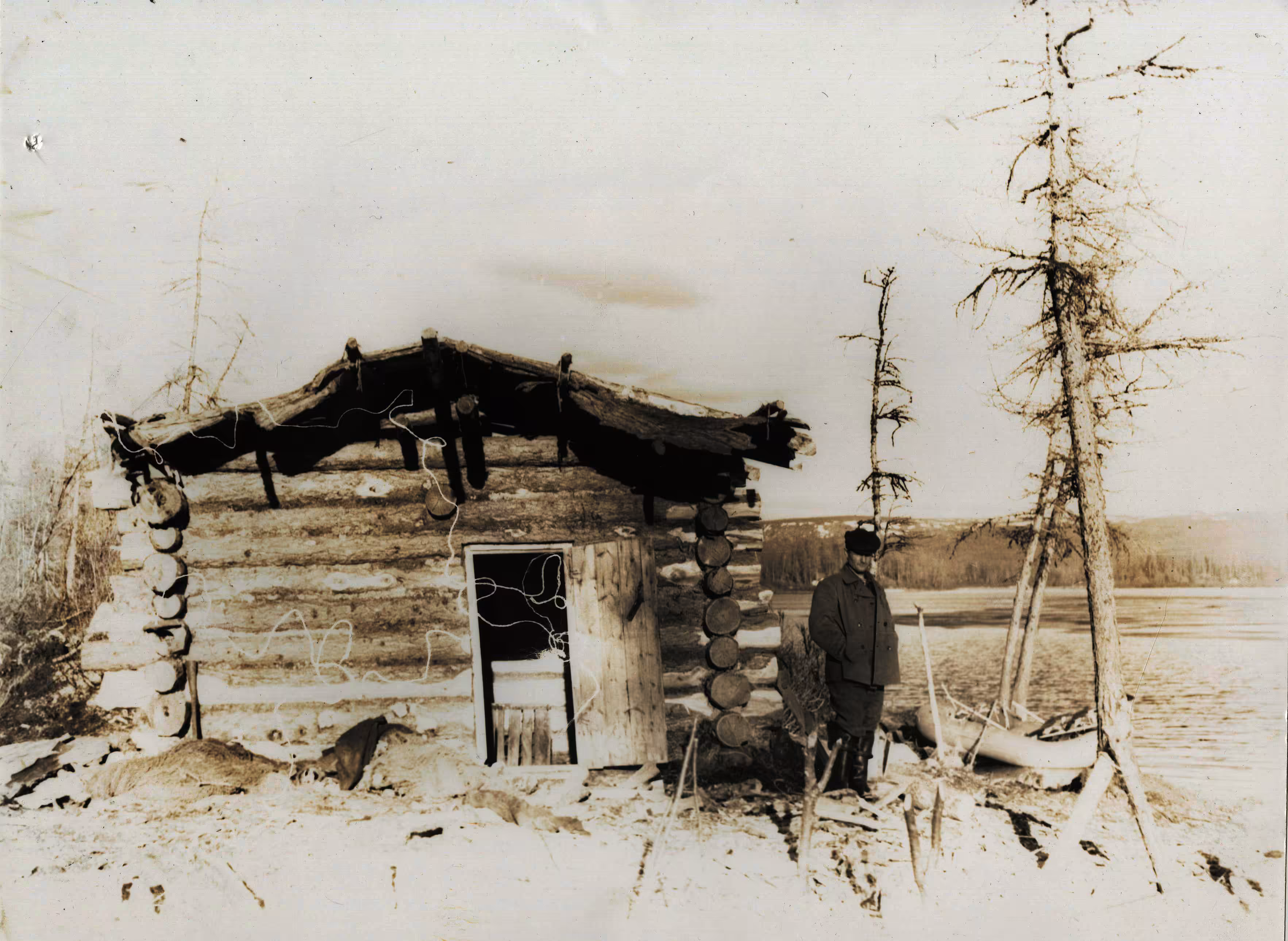 Forester's House