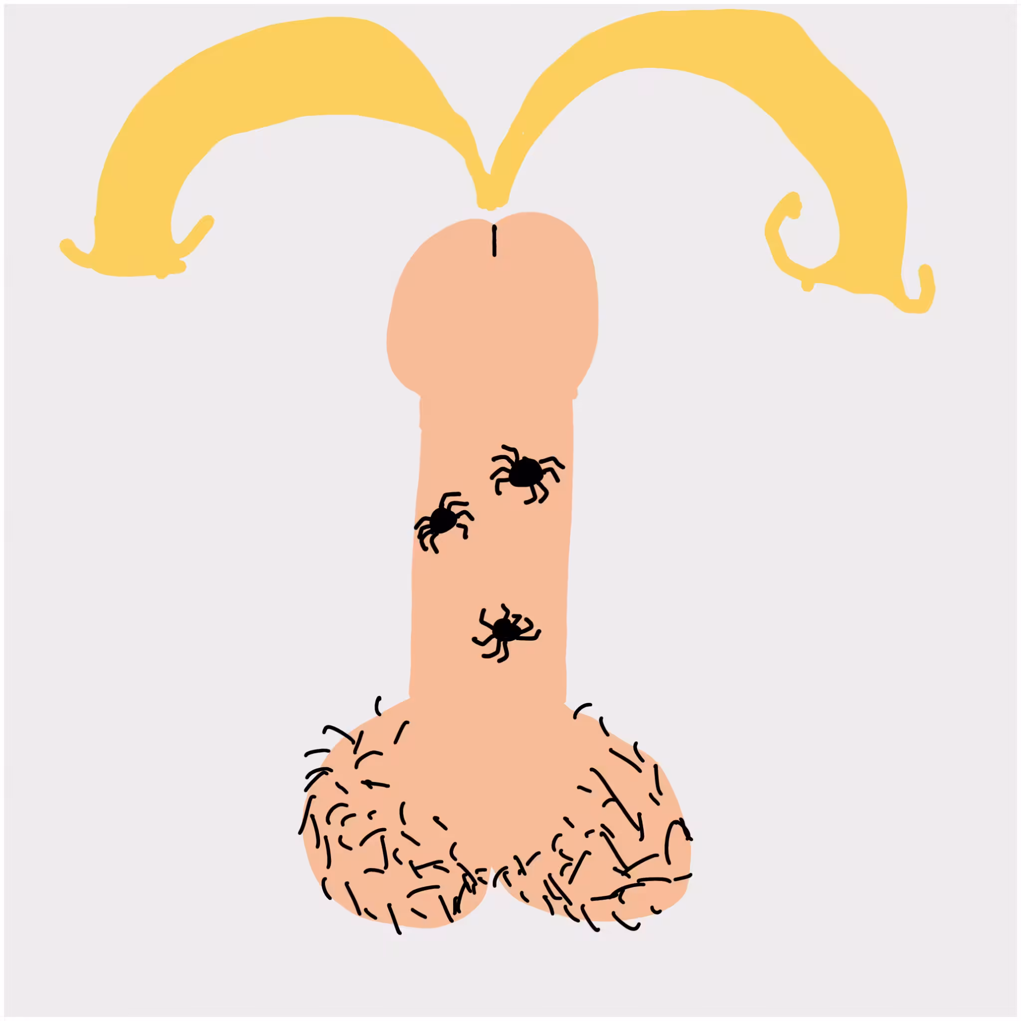 Dickgenerative Art #54
