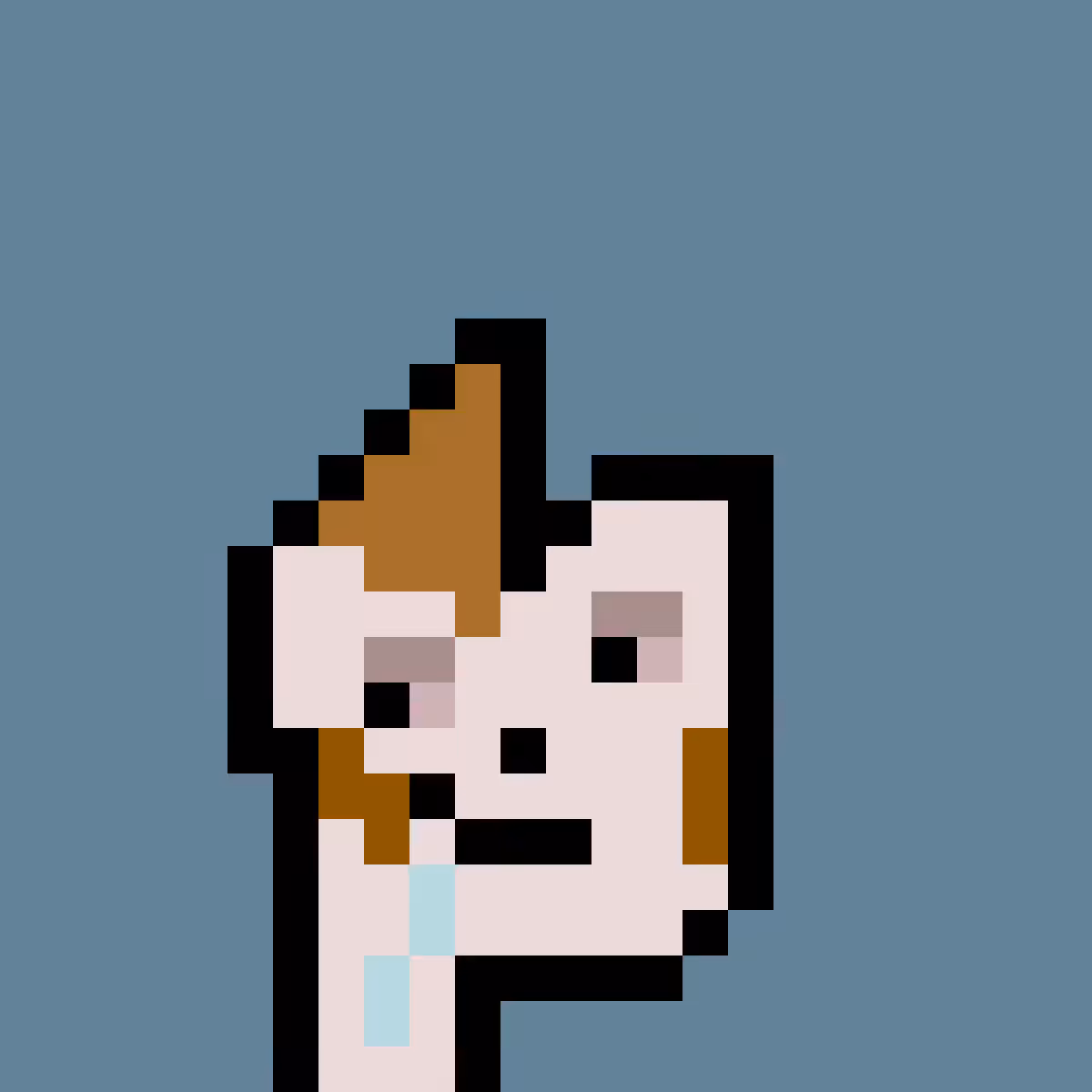 PNUKS #4288