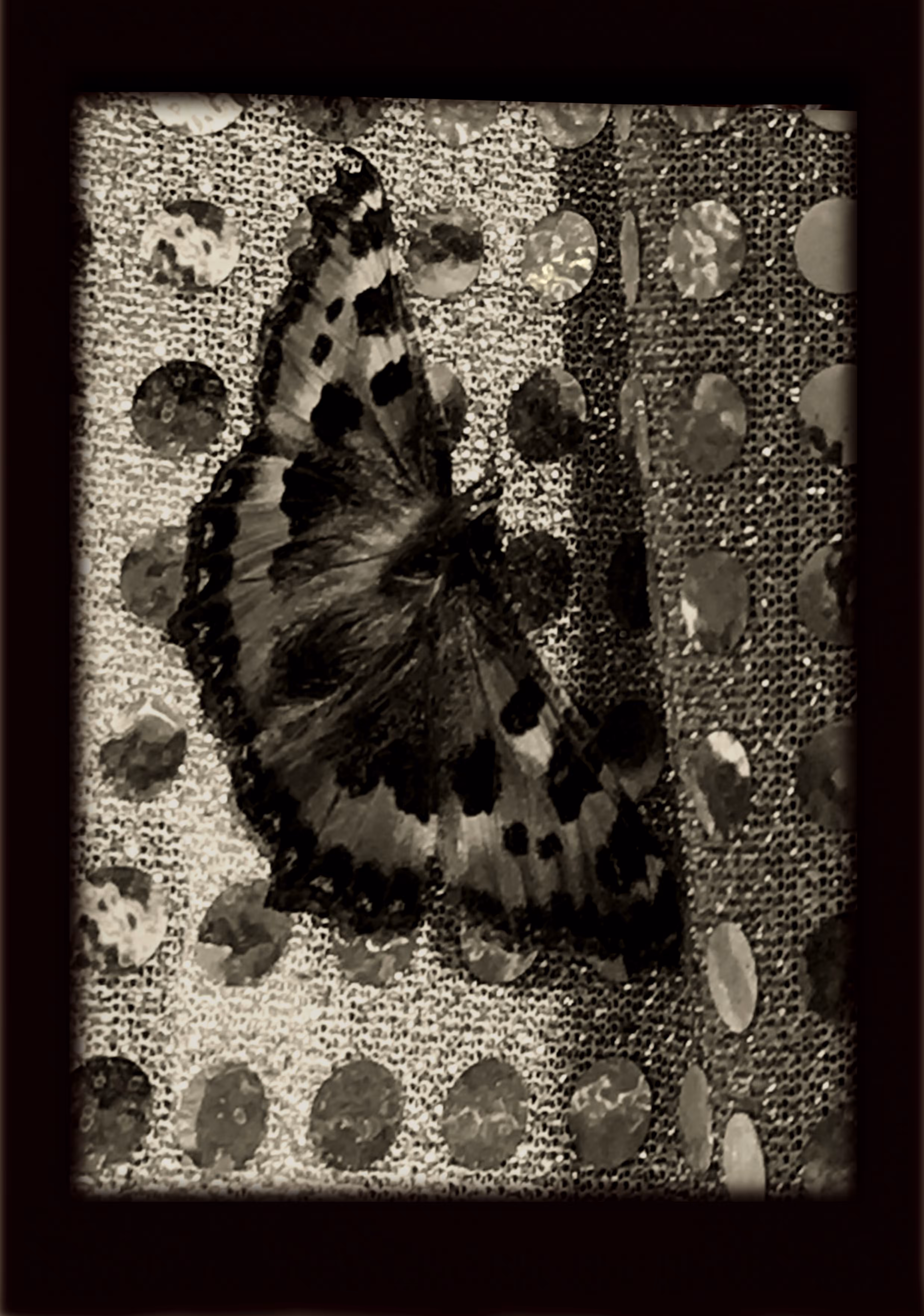 Small Tortoiseshell Butterfly
