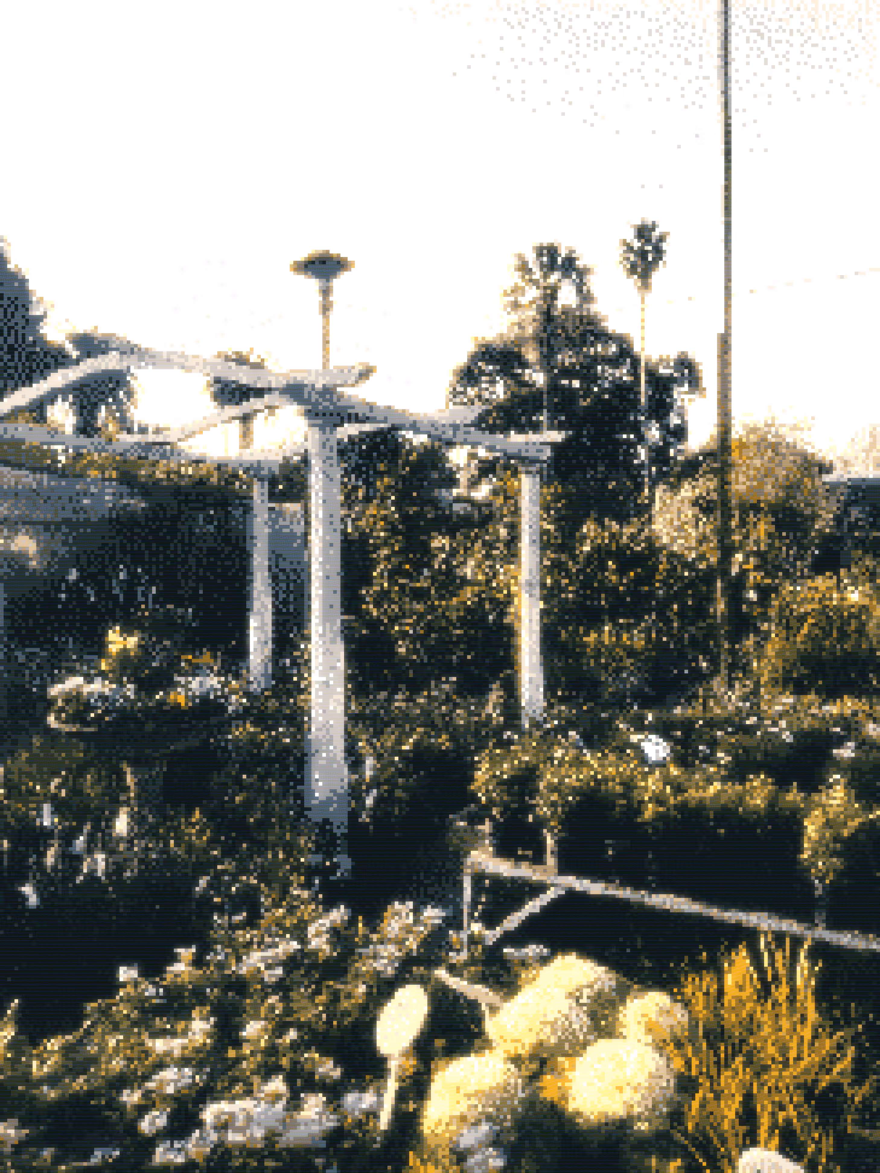 jardín