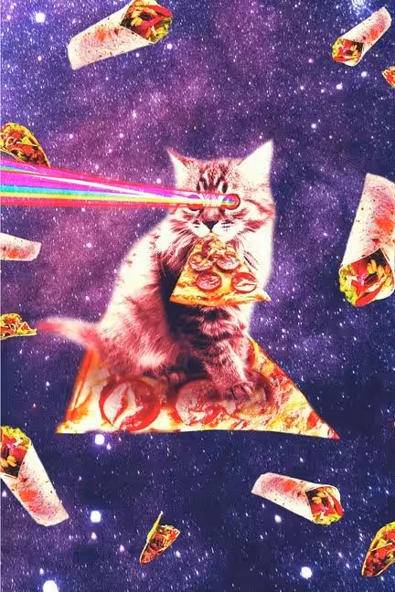 Space Cat Pizza #20 - PizzaPizzazz