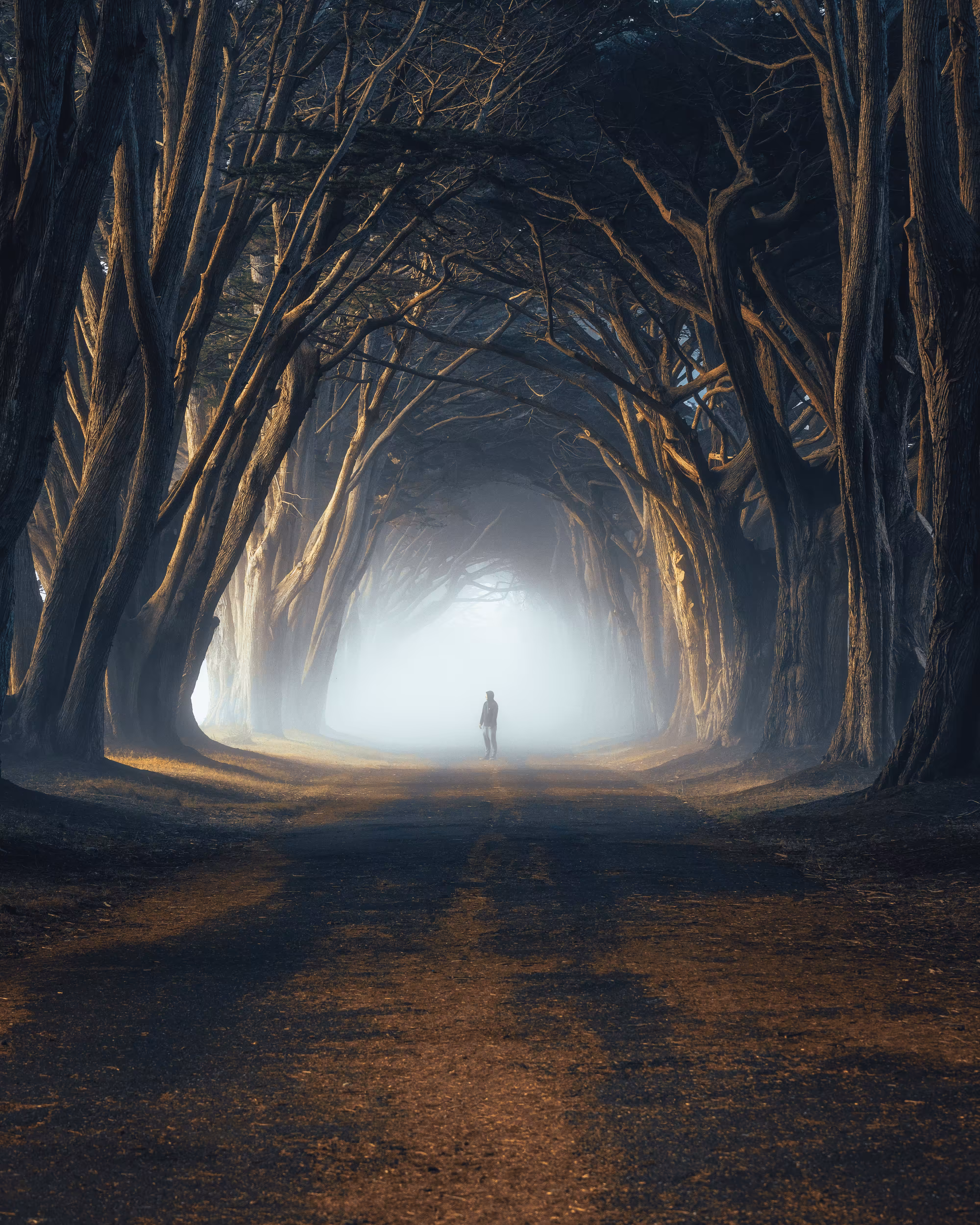 #8 Moody Exploration