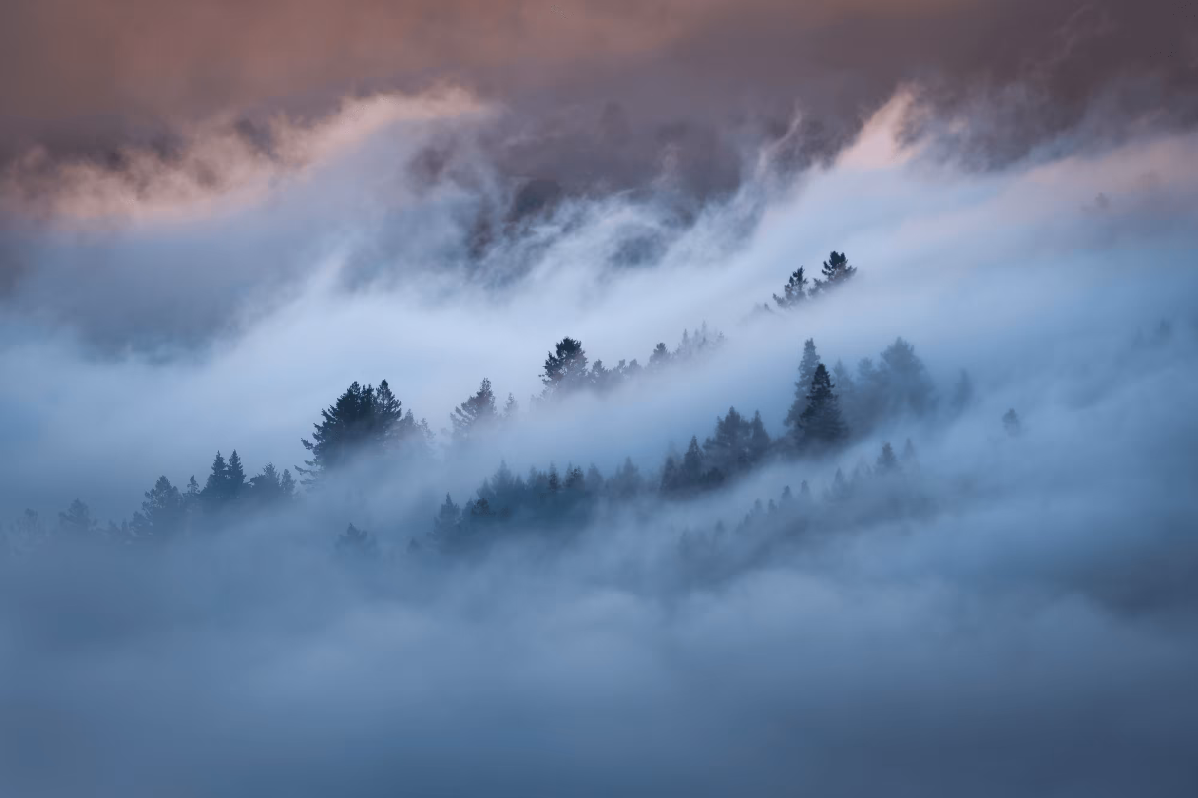 A Symphony of Fog #18