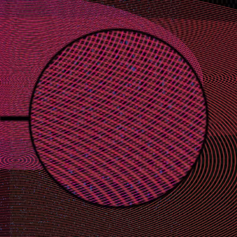 MICROSCOPY COLOR