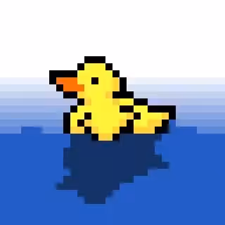 Duck Swim