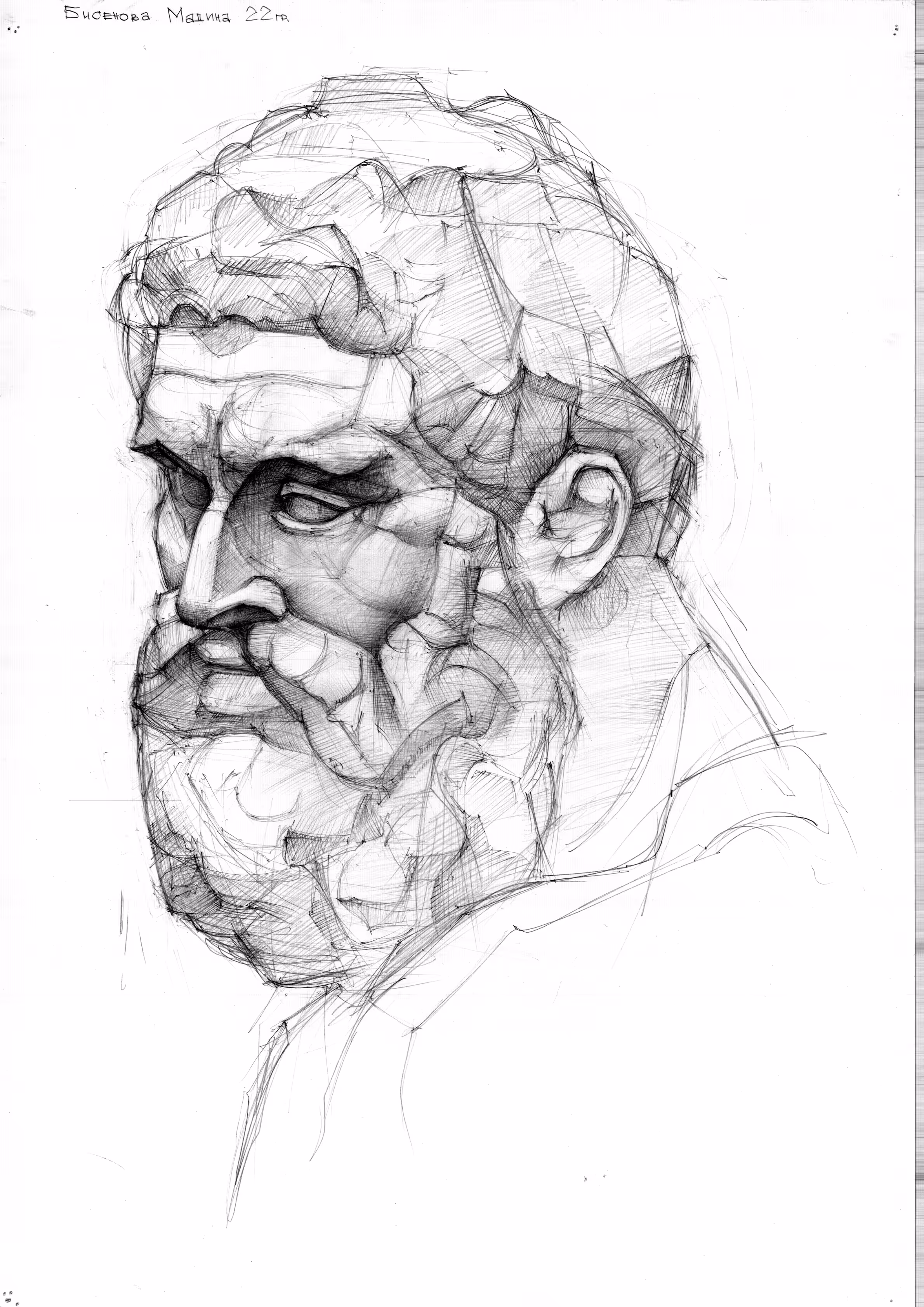ZEUS