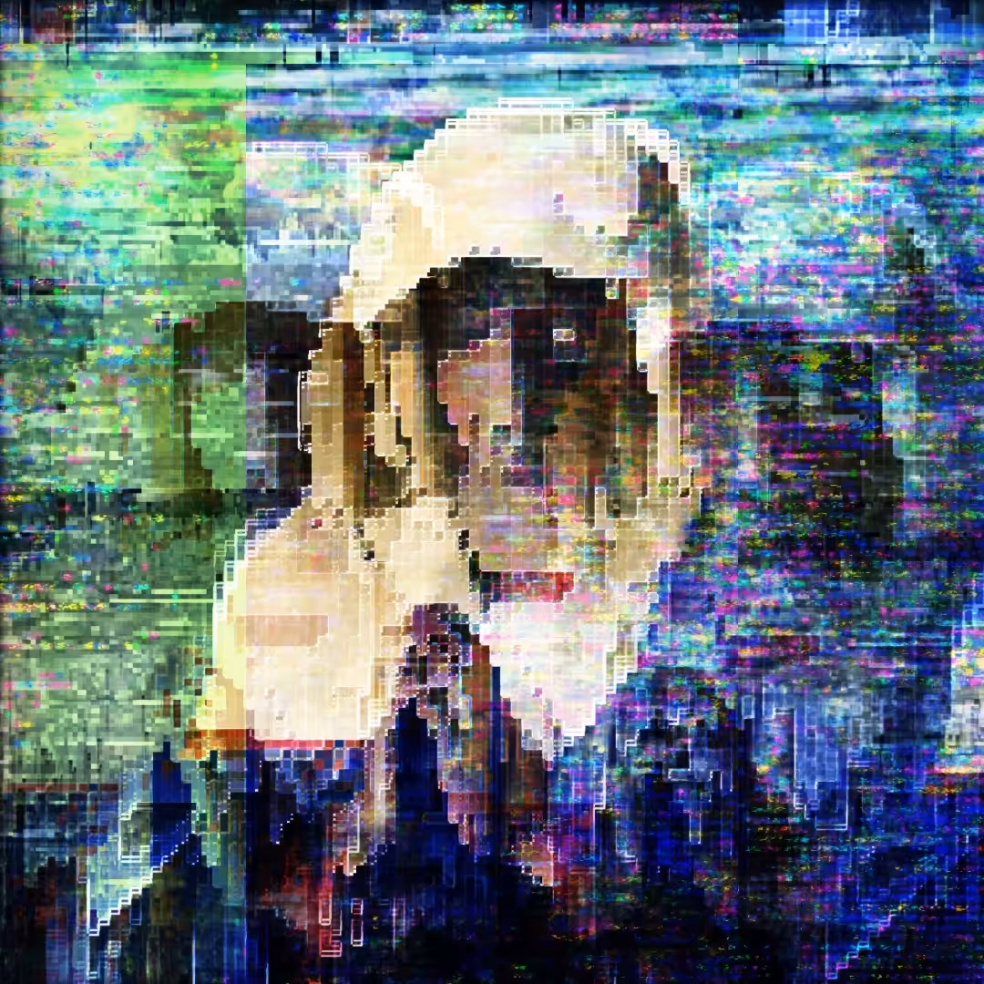 ƒιη∂ ƒανσя ιη тнє єуєѕ