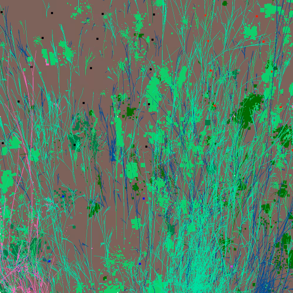 Infinite Garden: 12825 Flowers