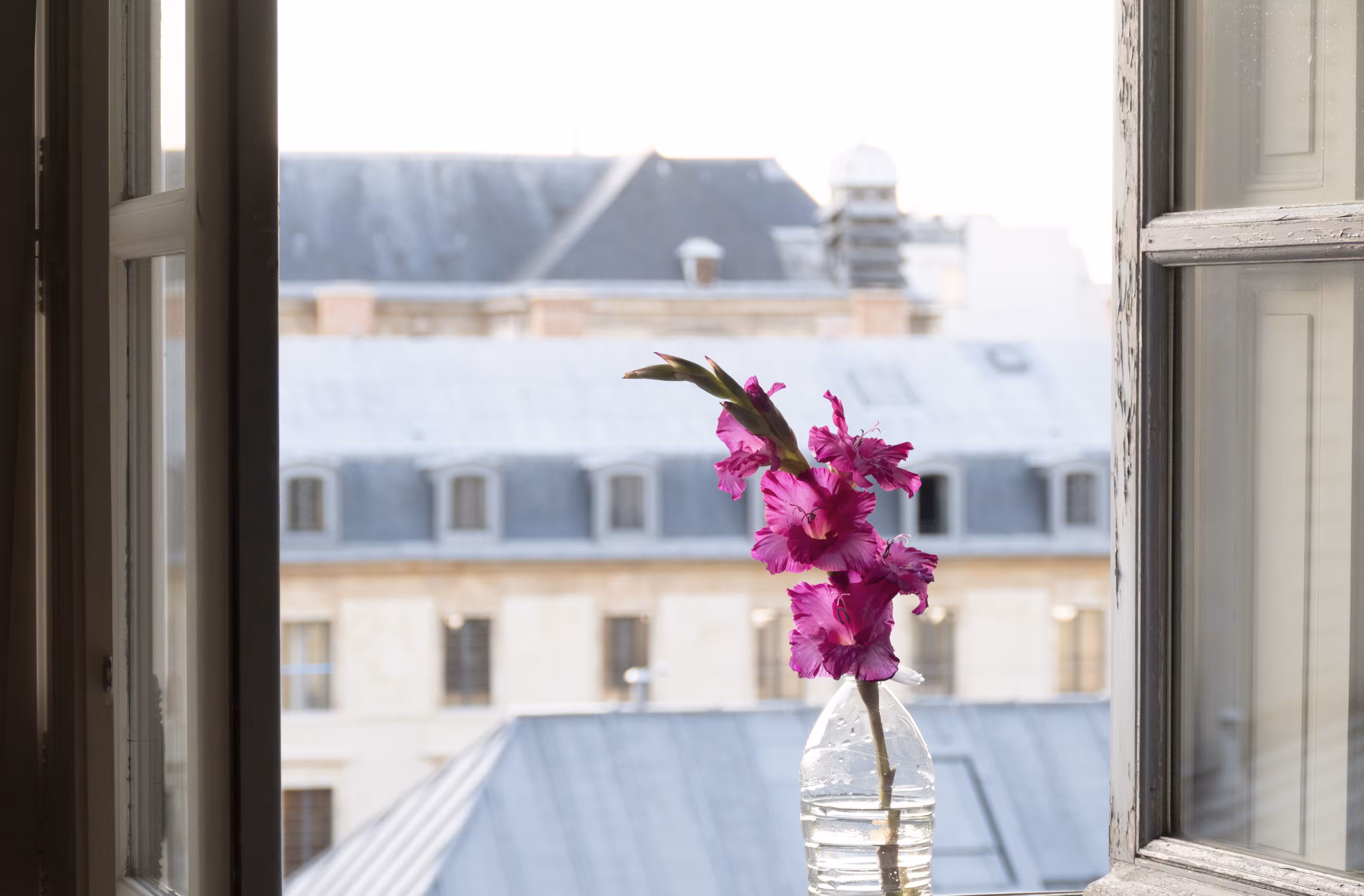 Paris Study #2