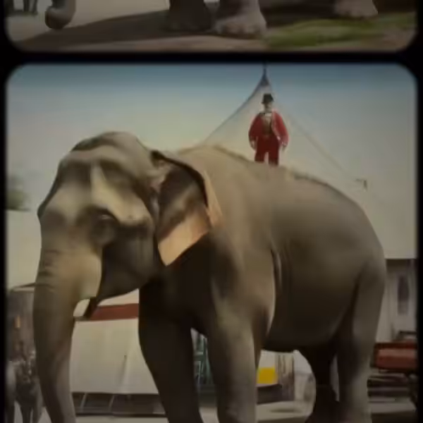 The Greatest Show on Earth
