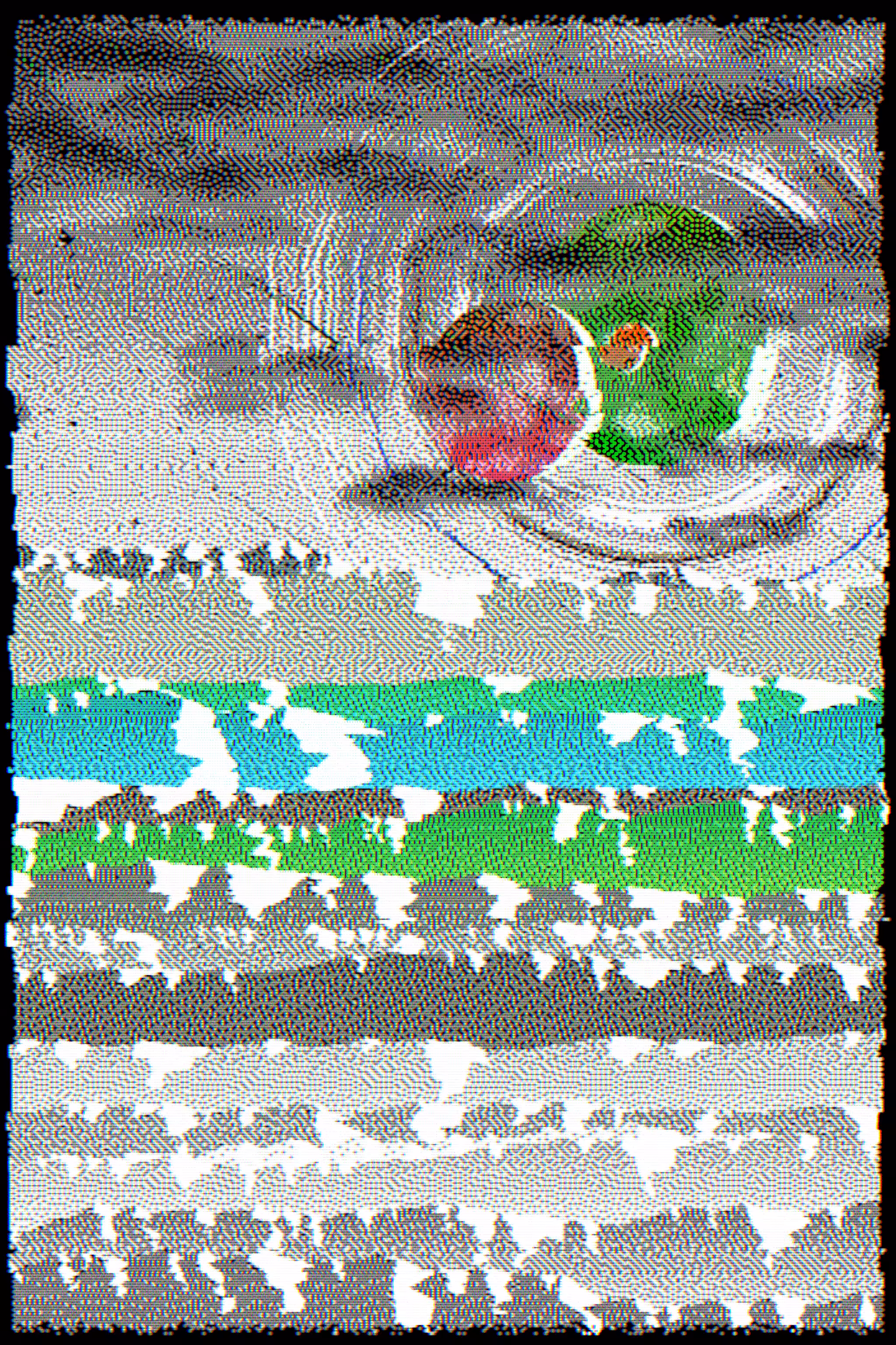 Gradient Ascent #100