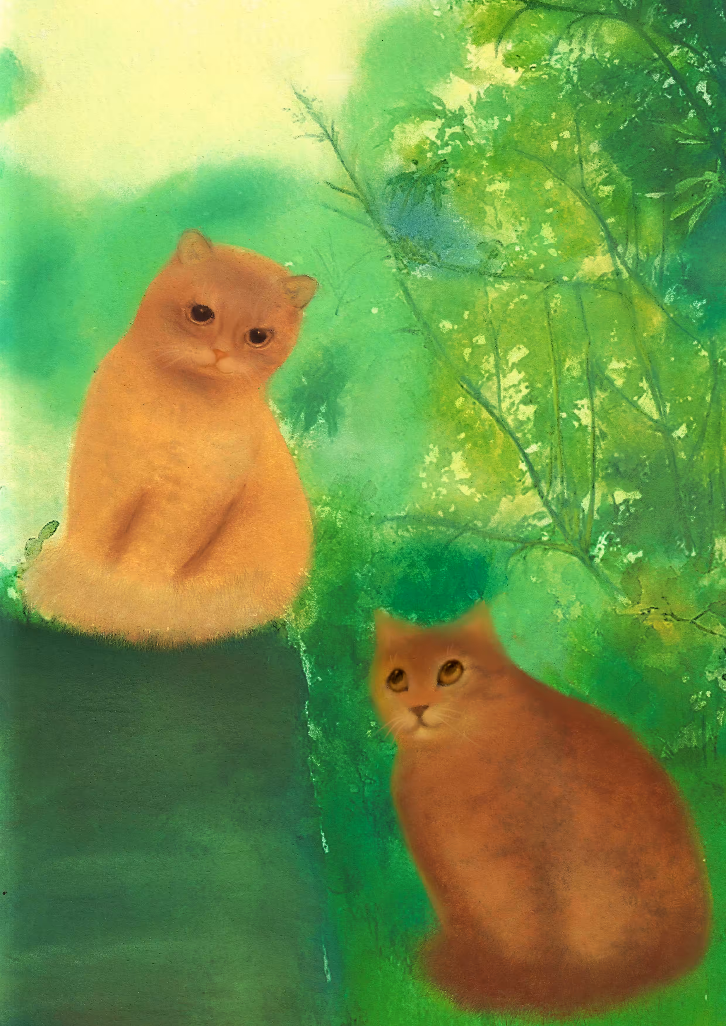 cats&another beautiful pets: Acquaintance 
