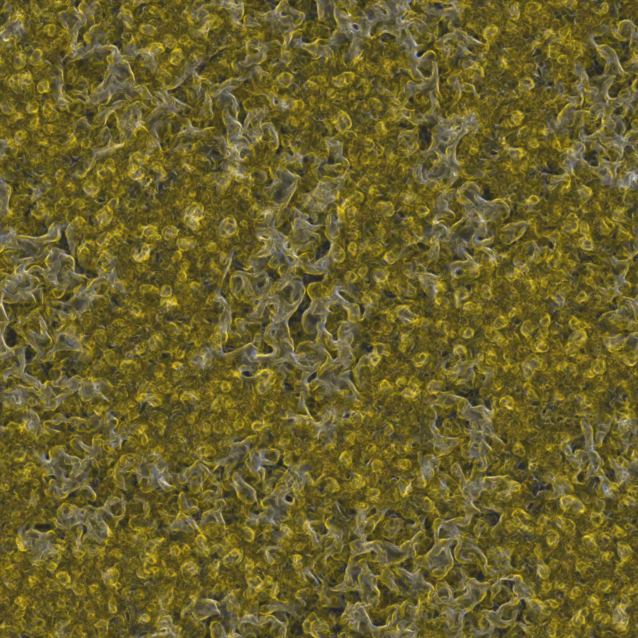 saprophyte #3