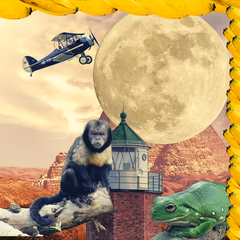 Banana & Pepe on mysterious trips #38