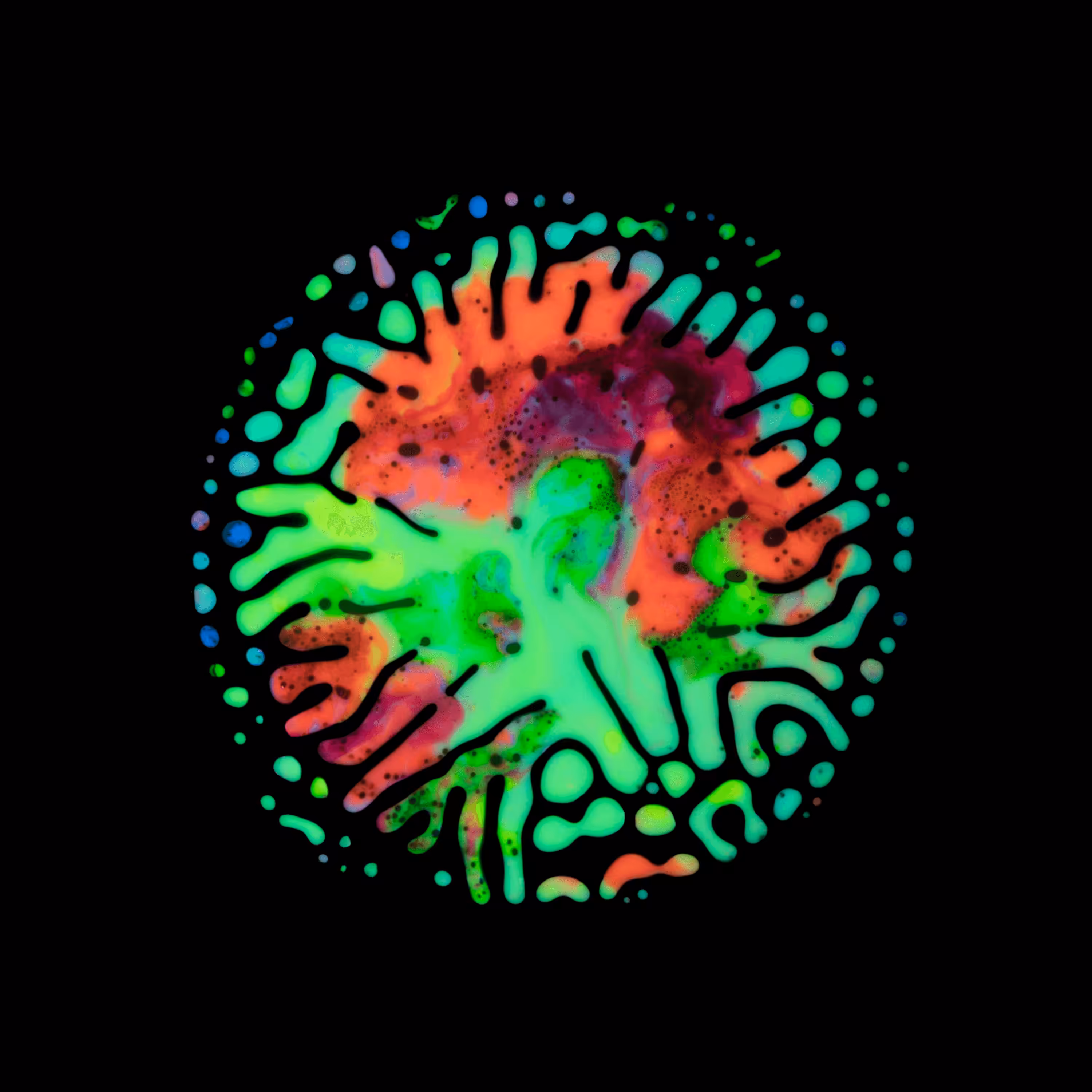 Haematopoiesis #24