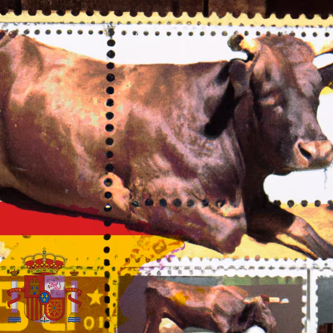Korrida (Spain)