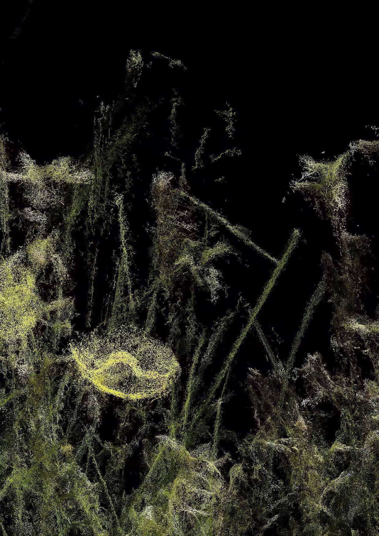 Overgrowth 0348