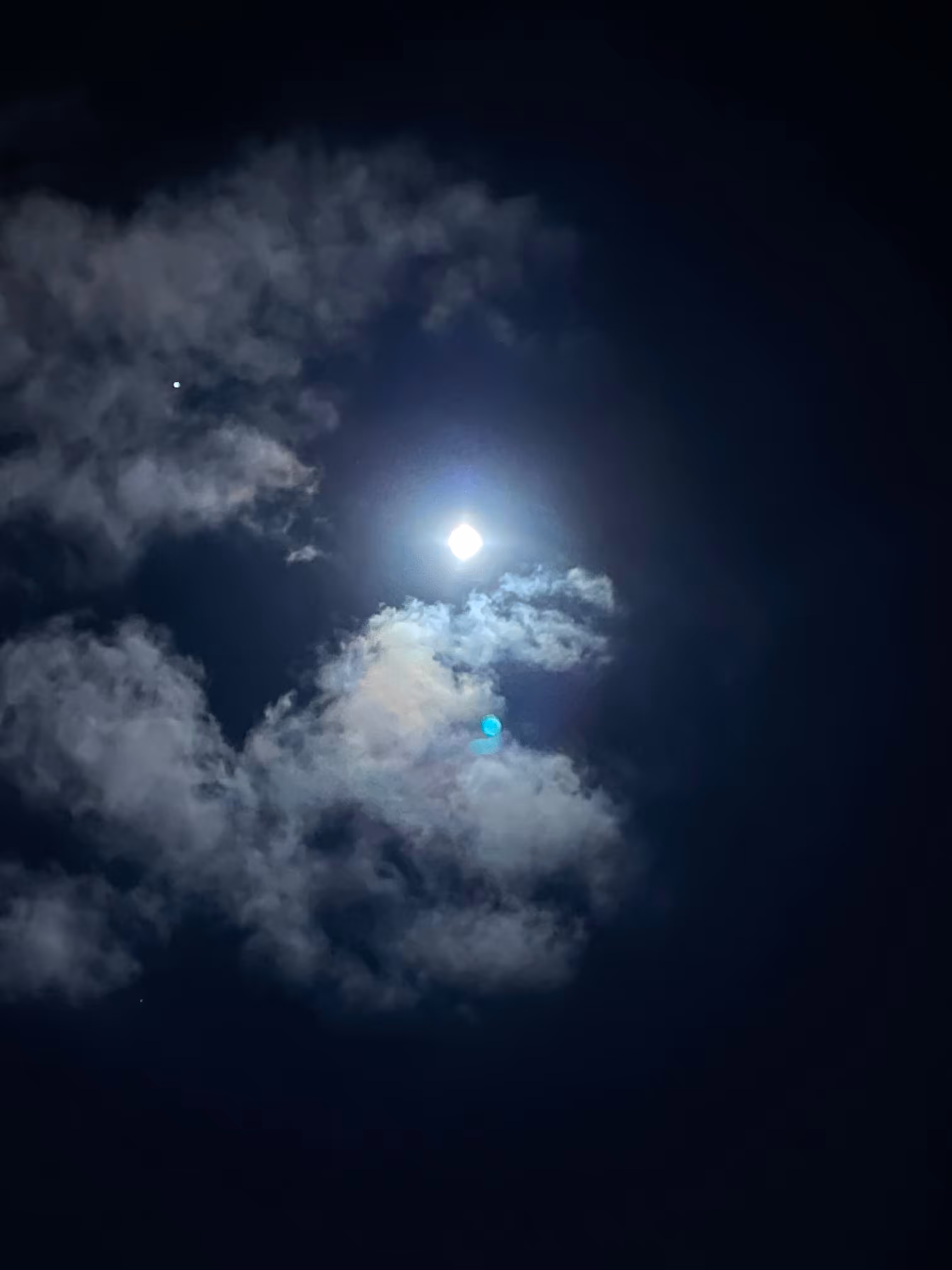 LIFE PHOTO GALLERY: NO. 16