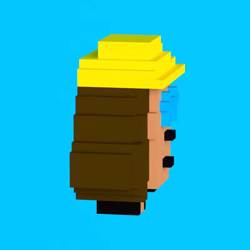 VoxelPunk #1