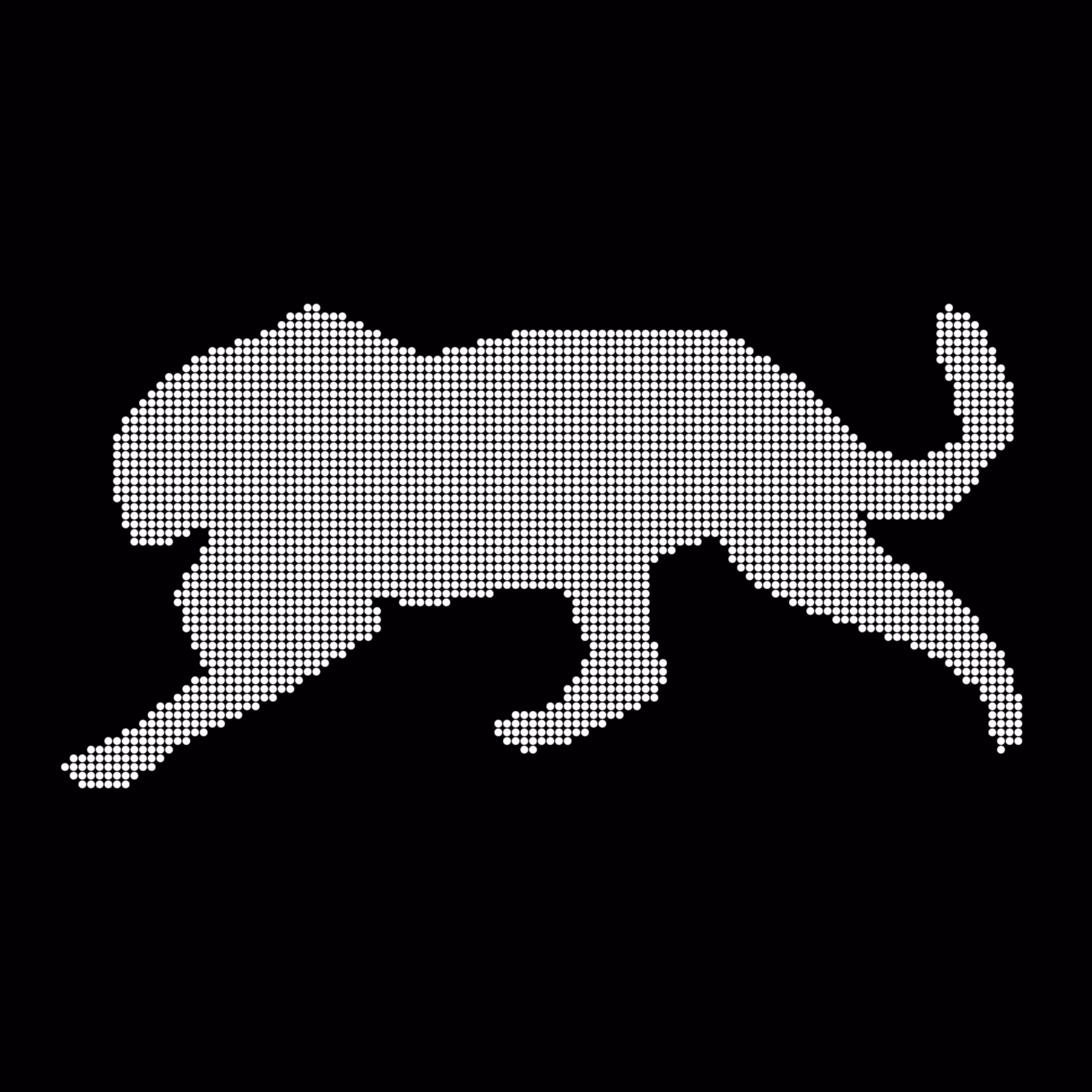 Leopard 111