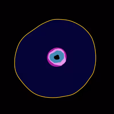 Black Hole Cell #6