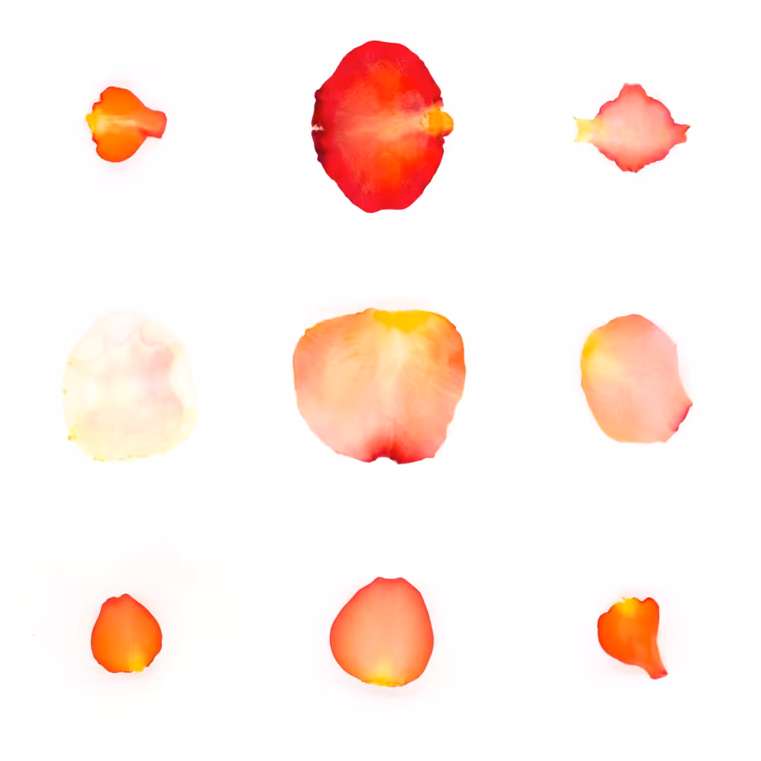 Infinite Petals 3x3#3311