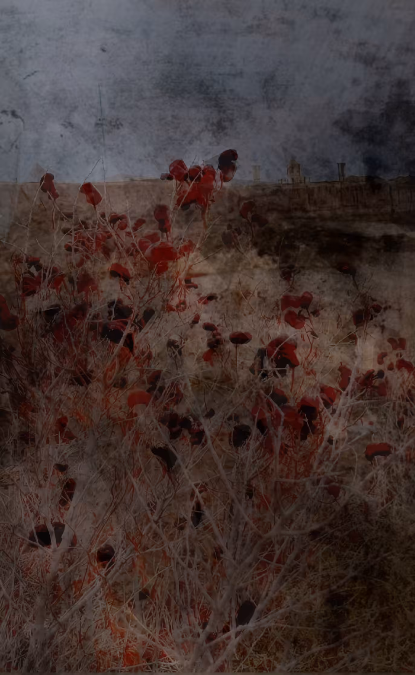 The branches