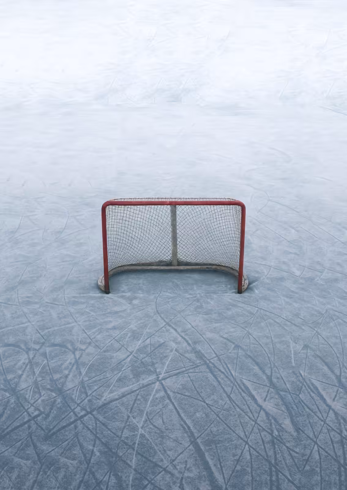 Empty Net