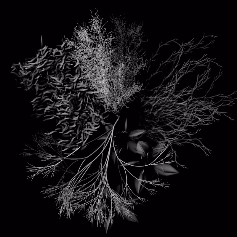 Botanical Ghosts #238