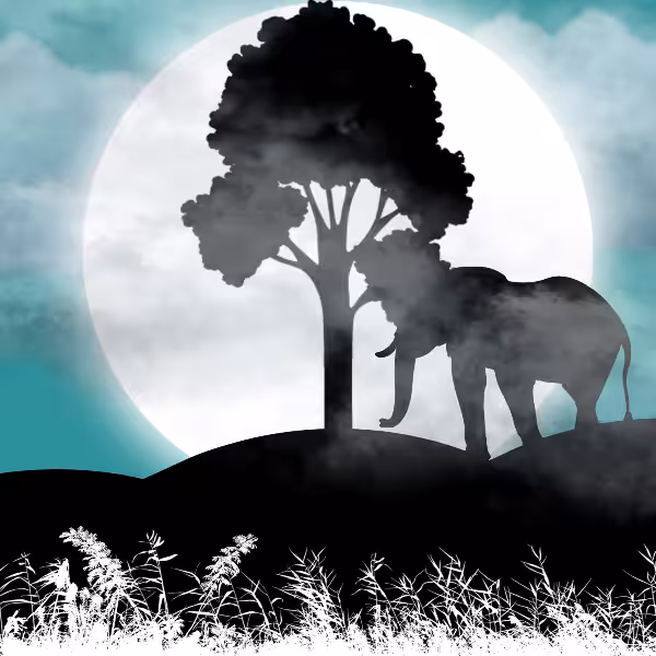 Moon and Life #8