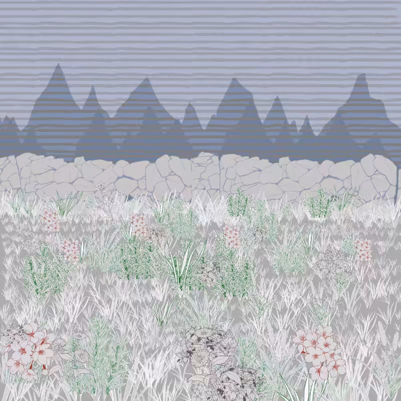 Mountain Meadows #41