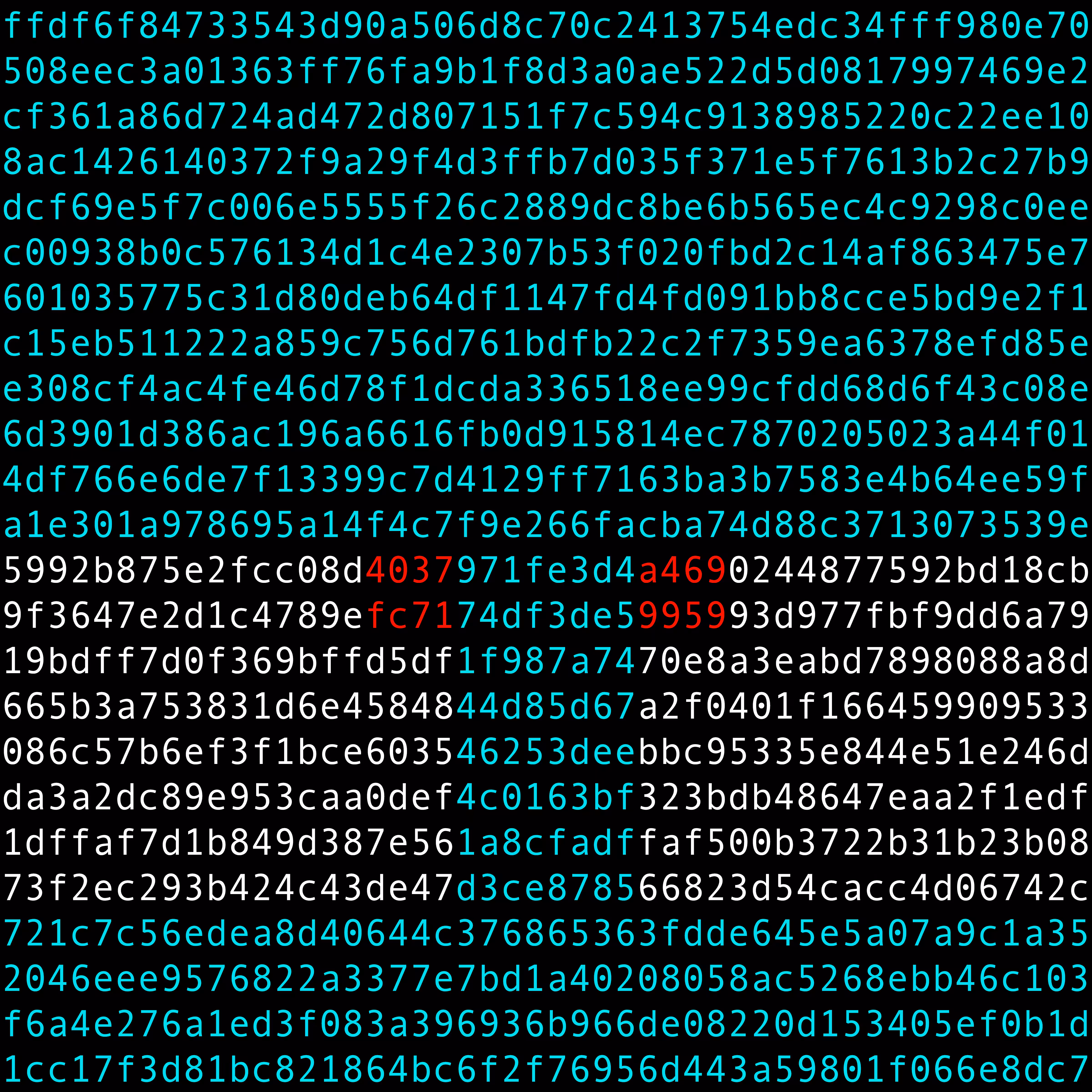 1111 #0284
