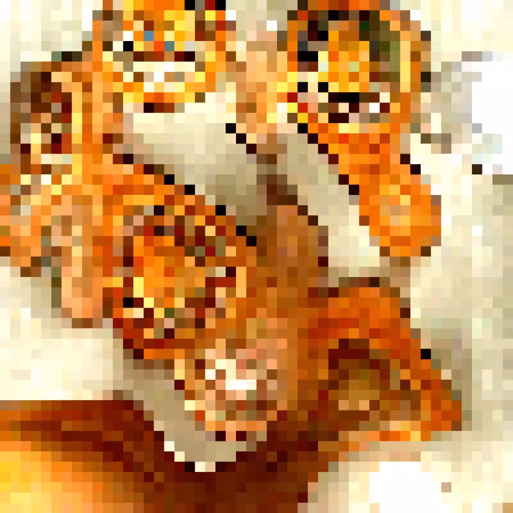 Foxy