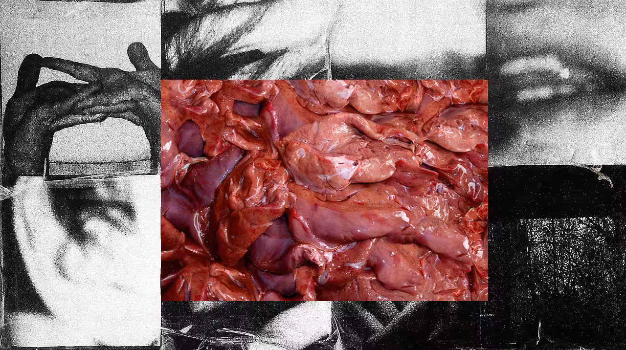Everything is Meat