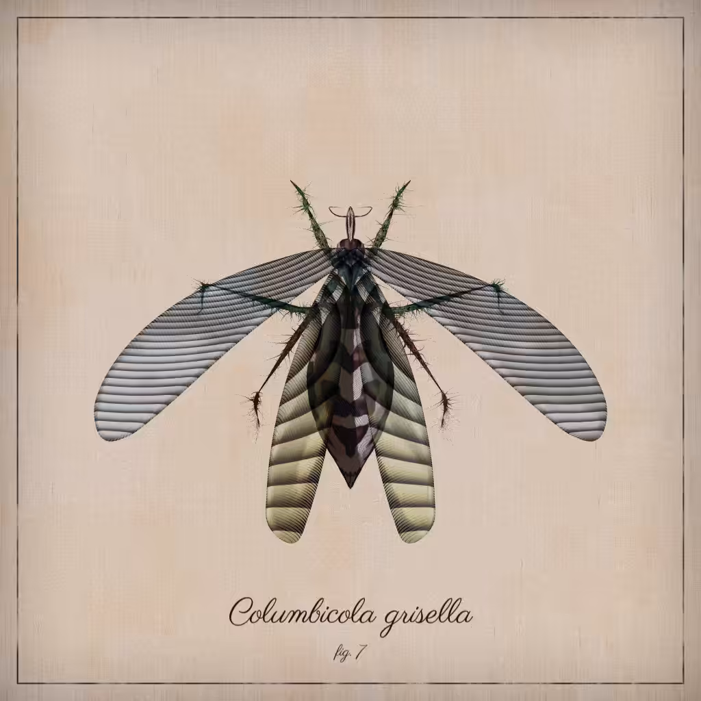 ProcGen Entomology #236