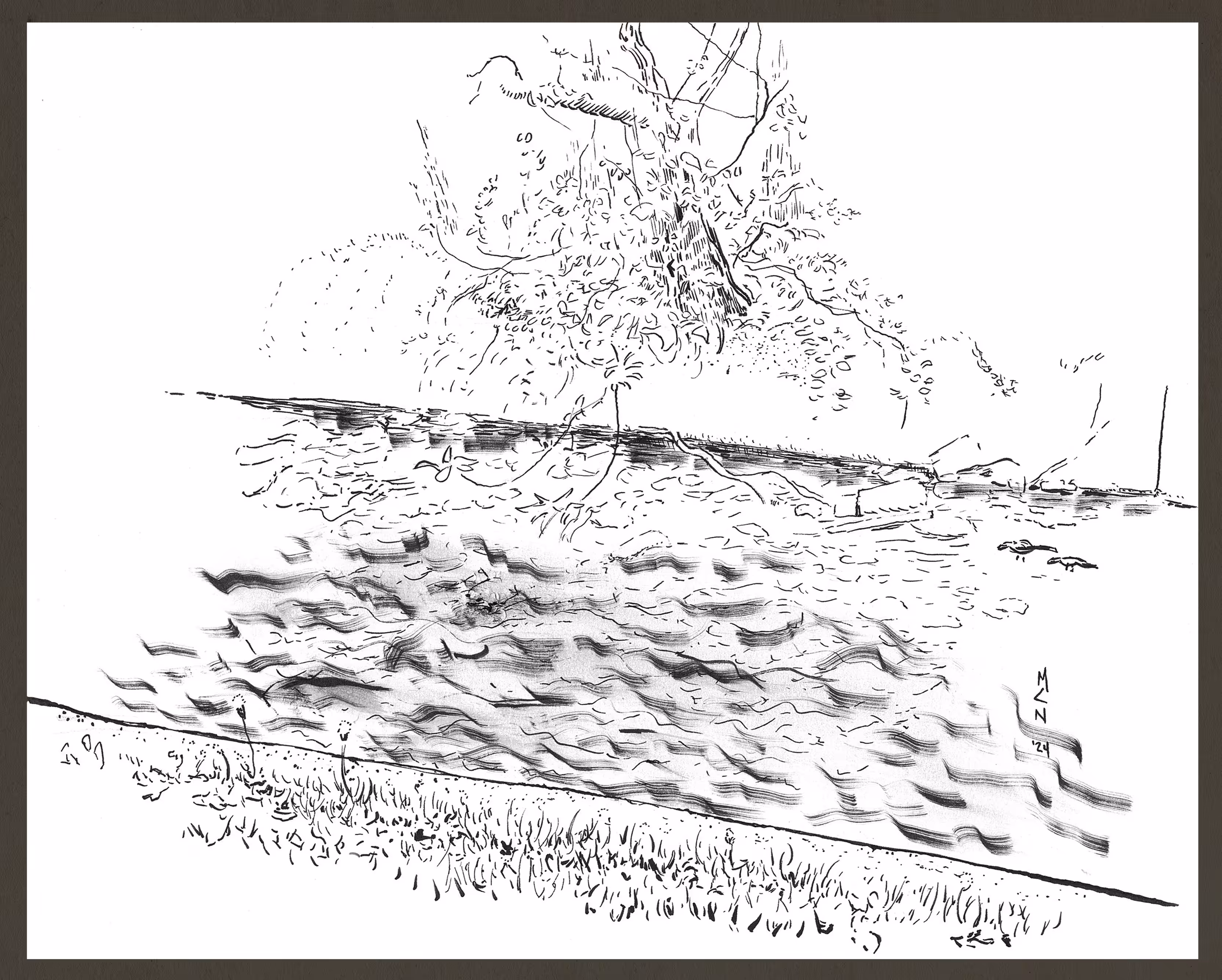 Touching Grass / Tocando a Grama: Triangle Creek